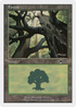 Forest (88) (BTD-088) - Beatdown Box Set