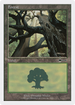 Forest (88) (BTD-088) - Beatdown Box Set