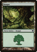 Forest (Spanish) - "Bosque" (224) (PS11-224) - Salvat 2011