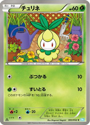 Petilil (003/052) - BW3 Hail Blizzard 1st Edition