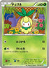 Petilil (003/052) - BW3 Hail Blizzard 1st Edition