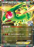 Flygon EX - 114/XY-P (114/XY-P) - XYP XY Promos Holofoil