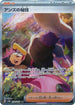 Janine's Secret Art - 228/187 (228/187) - SV8a Terastal Fest ex Holofoil