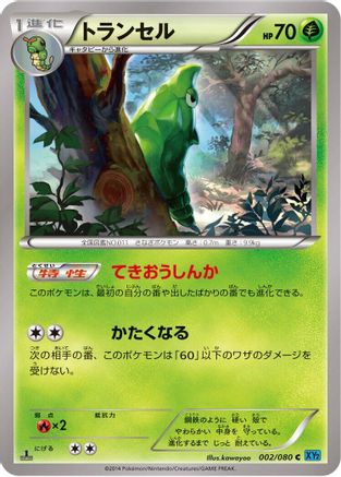 Metapod (002/080) - XY2 Wild Blaze Unlimited