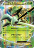 Sceptile EX - 007/081 (007/081) - XY7 Bandit Ring Unlimited Holofoil