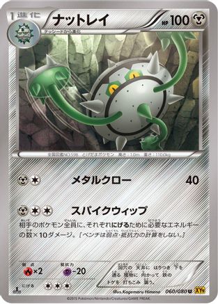 Ferrothorn (060/080) - XY9 Rage of the Broken Heavens 1st Edition