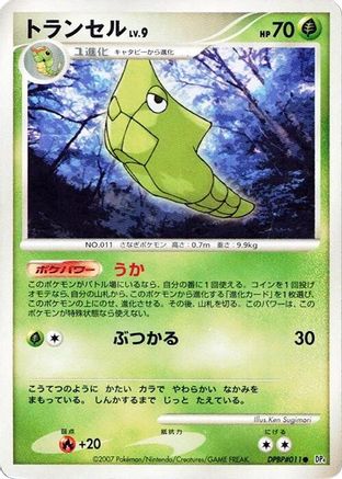 Metapod  - DP4 Dawn Dash Unlimited