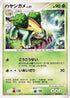 Grotle - 034/DP-P (034/DP-P) - DPP Promotional cards