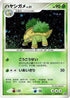 Grotle - 052/DP-P (052/DP-P) - DPP Promotional cards Holofoil