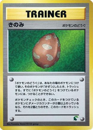 Berry  - Intro Pack Neo Chikorita