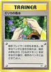 Erika's Perfume  - City Gym Decks