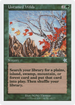 Untamed Wilds (S99-148) - Starter 1999