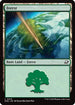 Forest (0276) (EOE-276) - Edge of Eternities Foil