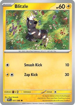 Blitzle (031) [SV White Flare] - Common