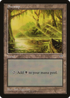 Swamp (Eyes in Log) (MIR-) - Mirage