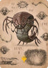 Koh, the Face Stealer 2 Art Card (Gold-Stamped Planeswalker Symbol) (ASTLA-034) - Art Series: Avatar: The Last Airbender