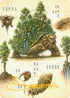 The Lion-Turtle Art Card (Gold-Stamped Signature) (ASTLA-037) - Art Series: Avatar: The Last Airbender