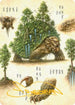 The Lion-Turtle Art Card (Gold-Stamped Signature) (ASTLA-037) - Art Series: Avatar: The Last Airbender