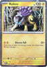 Raikou (Cosmos Holo) 048/132  - Holofoil Miscellaneous Cards & Products - Promo