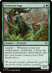 Evolution Sage (ECC-105) - Commander: Lorwyn Eclipsed