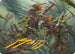Champions of the Shoal Art Card (Gold-Stamped Signature) (ASECL-006) - Art Series: Lorwyn Eclipsed