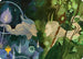 Trystan's Command Art Card (Gold-Stamped Planeswalker Symbol) (ASECL-045) - Art Series: Lorwyn Eclipsed