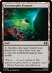 Terramorphic Expanse (0828) (MSC-828) - Commander: Marvel Super Heroes Foil