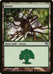 Forest (155) (PC2-155) - Planechase 2012 Foil