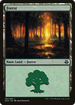 Forest (064) (DDO-064) - Duel Decks: Elspeth vs. Kiora