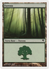 Forest (Spanish) - "Bosque" (K8) (PSAL-0K8) - Salvat 2005