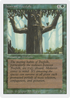 Ironroot Treefolk (3ED-) - Revised Edition