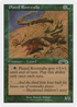 Plated Rootwalla (BRB-) - Battle Royale Box Set