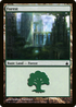 Forest (303) (RAV-303) - Ravnica: City of Guilds Foil