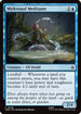 Mirkwood Meditator (HOB-048) - The Hobbit Foil