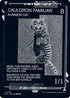 Cauldron Familiar (0156) (SLZ-156) - Secret Lair x MSCHF: The Zeta Set