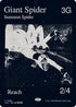 Giant Spider (0196) (SLZ-196) - Secret Lair x MSCHF: The Zeta Set