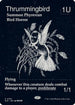 Thrummingbird (0153) (SLZ-153) - Secret Lair x MSCHF: The Zeta Set