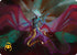 Ingris Stingerquill Art Card (Gold-Stamped Signature) (ASFRA-042) - Art Series: Reality Fracture