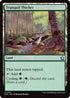 Tranquil Thicket (FDC-316) - Commander: Foundations