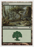 Forest (Italian) - "Foresta" (K20) (PSAL-K20) - Salvat 2005