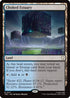 Choked Estuary (Surge Foil) (TRC-517) - Commander: Star Trek Foil