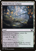 Witherbloom Campus (STX-275) - Strixhaven: School of Mages