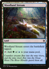 Woodland Stream (XLN-284) - Ixalan Foil