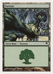 Forest (Italian) - "Foresta" (K56) (PSAL-K56) - Salvat 2005