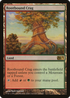 Rootbound Crag (M13-228) - Magic 2013