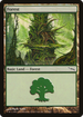 Forest (303) (MRD-303) - Mirrodin Foil