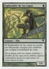 Treetop Scout (Spanish) - "Explorador de las copas" (B6) (PSAL-0B6) - Salvat 2005