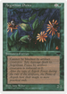 Argothian Pixies (CHR-) - Chronicles