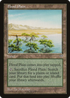 Flood Plain (MIR-) - Mirage