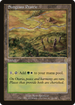 Sungrass Prairie (ODY-328) - Odyssey